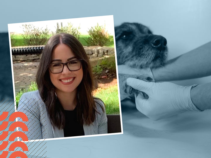 From Elle Woods to Latinx Student Veterinarian: A Story Of Perseverance